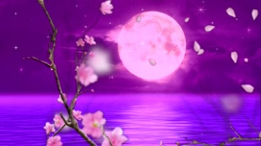 梅花腊梅花瓣飘落 水面圆月背景视频素材