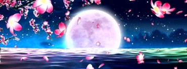 月亮满月海面飘花瓣飞舞视频素材