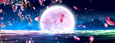 月亮满月海面飘花瓣飞舞视频素材