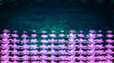 水面水纹水波纹水涟漪小朵荷花盛开视频素材