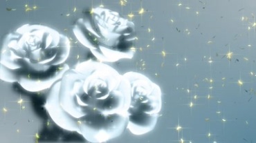 银色玫瑰梦幻旋转视频素材