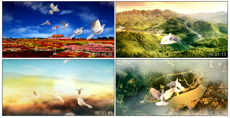 白色和平鸽子鸟瞰祖国大地新时代中国梦视频素材