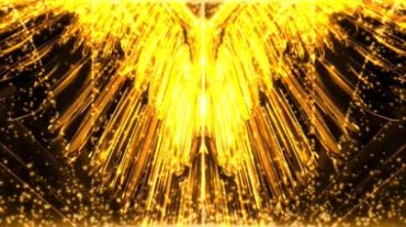 金色奢华翅膀黄金翅膀视频素材