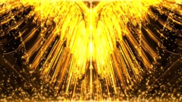 金色奢华翅膀黄金翅膀视频素材