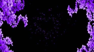 紫色浪漫粒子组成桃心爱情表白视频素材
