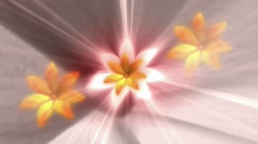 炫光花朵花瓣旋转高清视频素材
