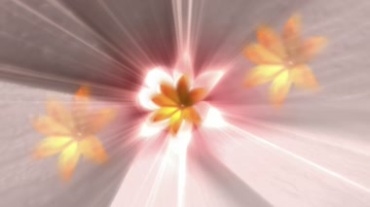 炫光花朵花瓣旋转高清视频素材