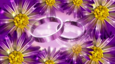 紫色背景戒指旋转爱情视频素材