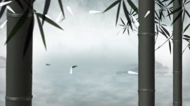 竹子竹节竹叶云海仙境视频素材