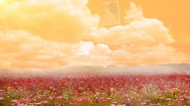天空白云漫山遍野鲜花红花开满地幡旗飘扬视频素材