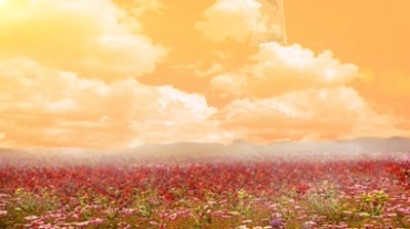 天空白云漫山遍野鲜花红花开满地幡旗飘扬视频素材