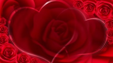 红玫瑰花朵中间有桃心形状浪漫背景视频素材