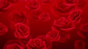 红玫瑰花纷纷落下的视频素材