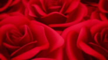 鲜艳红玫瑰花瓣视频素材