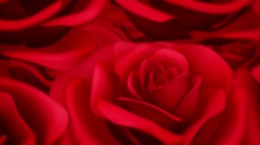 鲜艳红玫瑰花瓣视频素材