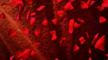 玫瑰花瓣飘落红色背景视频素材