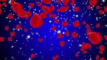 蓝色星空玫瑰花瓣飘落浪漫场景视频素材