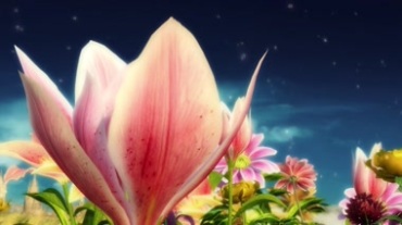 梦幻花朵开花 盛开的花朵视频素材