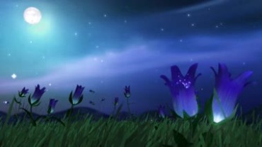 梦幻夜空唯美月光发光花朵视频素材