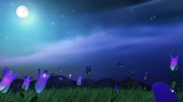 梦幻夜空唯美月光发光花朵视频素材