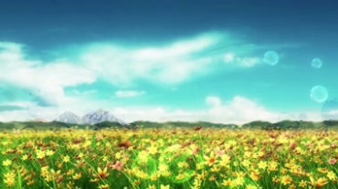 蓝天白云下的野草地野花遍野视频素材