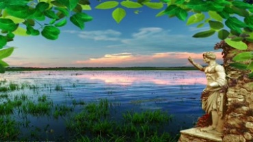 湖水自然保护区水草视频素材