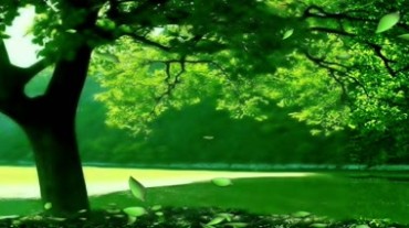 绿树成荫大公园视频素材