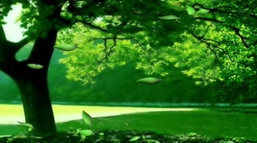 绿树成荫大公园视频素材