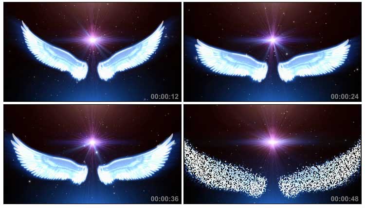 天使大翅膀和白色翅膀视频素材
