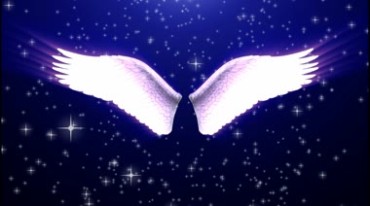 白色天使翅膀视频素材