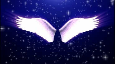 白色天使翅膀视频素材