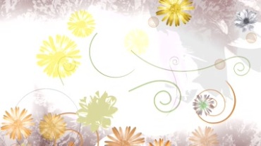 花朵小花掉落线条生长油彩背景视频素材