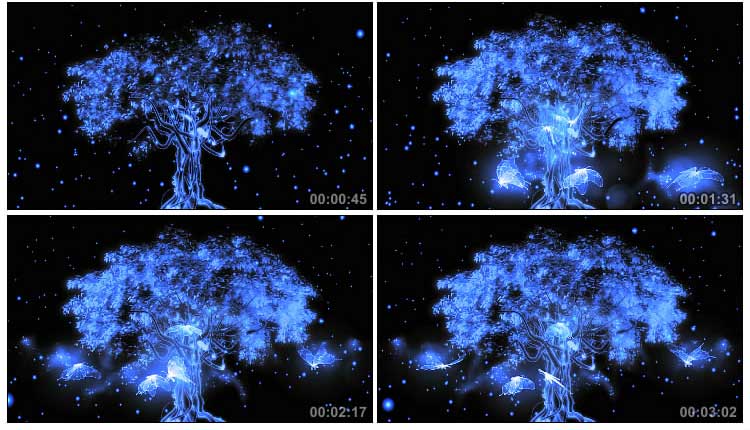 蓝色光效发光树蝴蝶飞舞视频素材