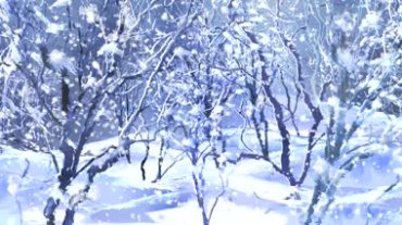 浪漫树林雪景视频素材