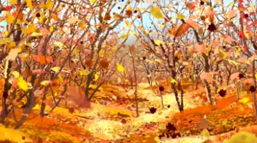 唯美浪漫的树林秋天金色落叶视频素材