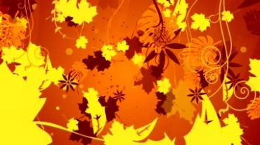 多种形状的树叶背景视频素材