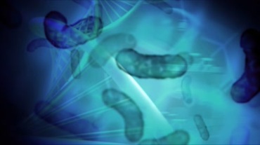 显微镜化验放大虫卵蠕虫蠕动细胞核DNA视频素材