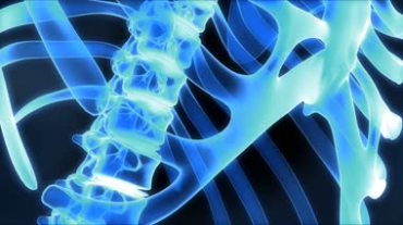 人体脊椎骨骼医学教学视频素材
