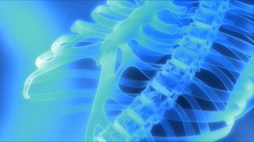 人体脊椎骨骼医学教学视频素材