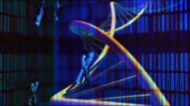 螺旋体成对染色体DNA模型视频素材