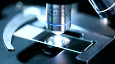 实验化验利用显微镜观测特写镜头视频素材