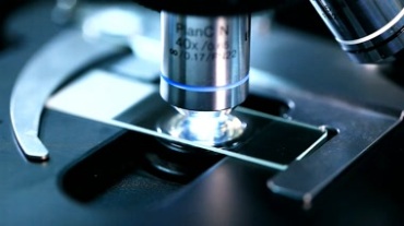 实验化验利用显微镜观测特写镜头视频素材