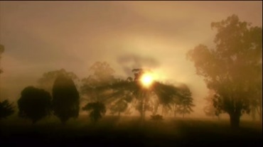 太阳日出的光芒照耀大树效果视频素材