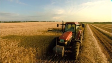 农业机械收割小麦视频素材