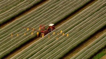 现代农业机械化喷洒农药视频素材