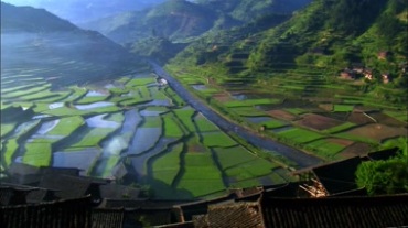 美丽乡村梯田风景视频素材