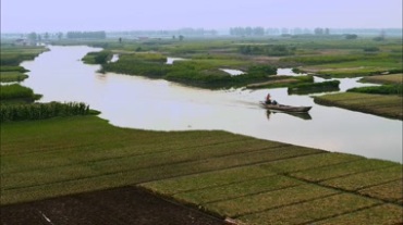 农村河道河中行船，两边是农田视频素材