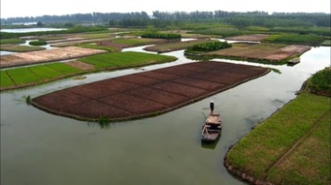 农村河道河中行船，两边是农田视频素材