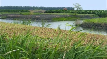 农村农田河流河道视频素材