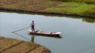 在田间河流中撑船的农民视频素材